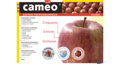 Desktop Screenshot of cameo-europe.com